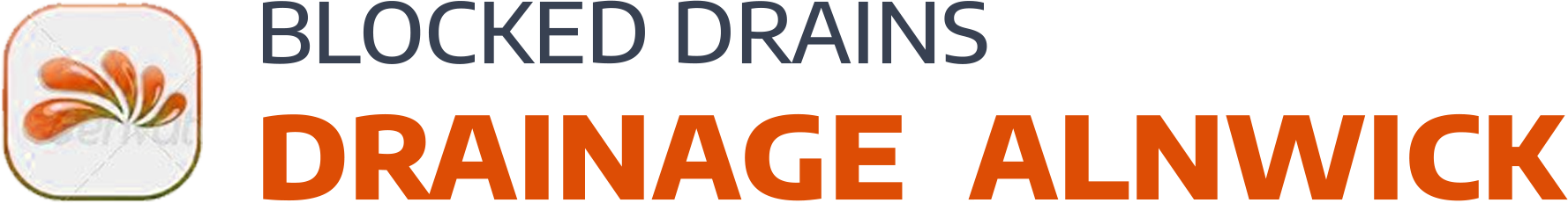 website logo